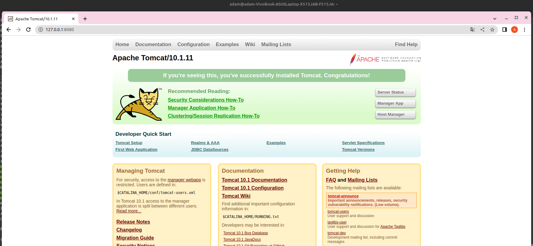 Tomcat running on localhost