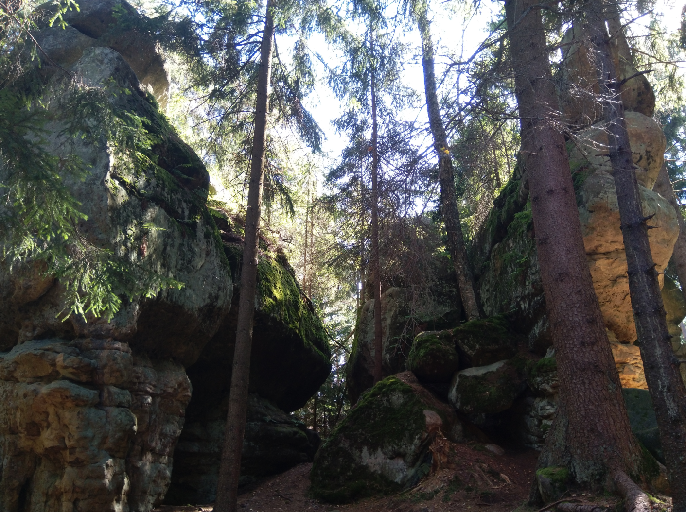 Radkow's Rocks - view 3